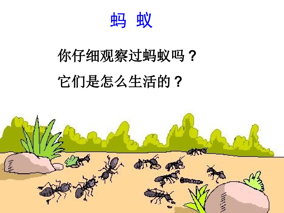 2.3社会行为27ppt_第2页