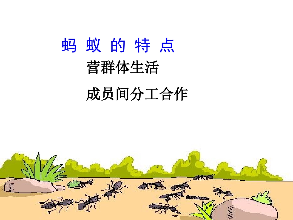 2.3社会行为27ppt_第3页