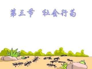 2.3社会行为27ppt