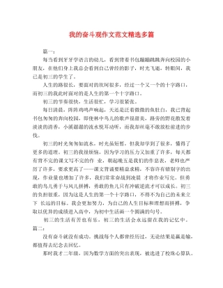 我的奋斗观作文范文精选多篇 