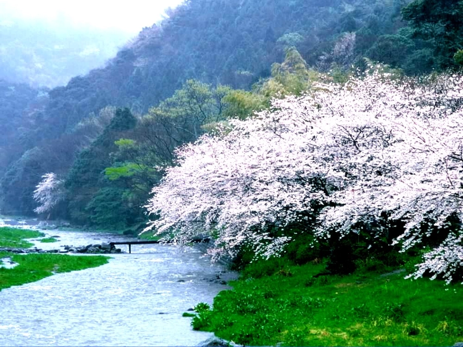 《桃花源记》_第3页