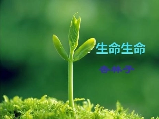 《生命生命》
