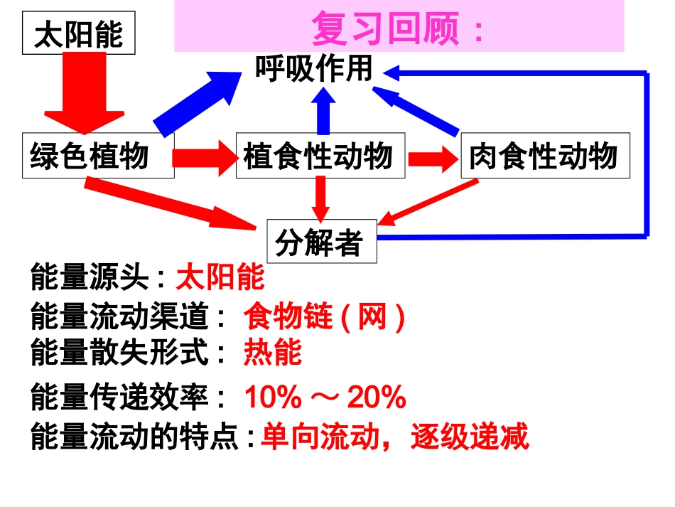 生态系统的物质循环(公开课用)_第1页