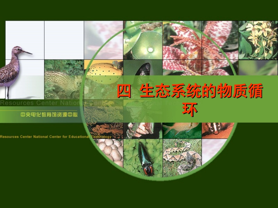 生态系统的物质循环(公开课用)_第2页