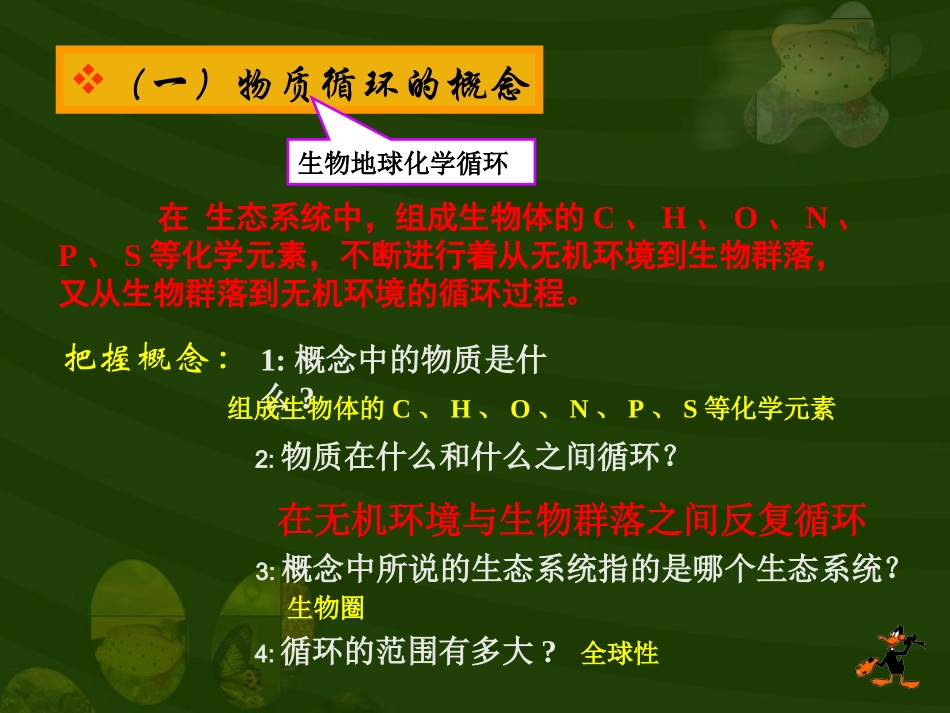 生态系统的物质循环(公开课用)_第3页