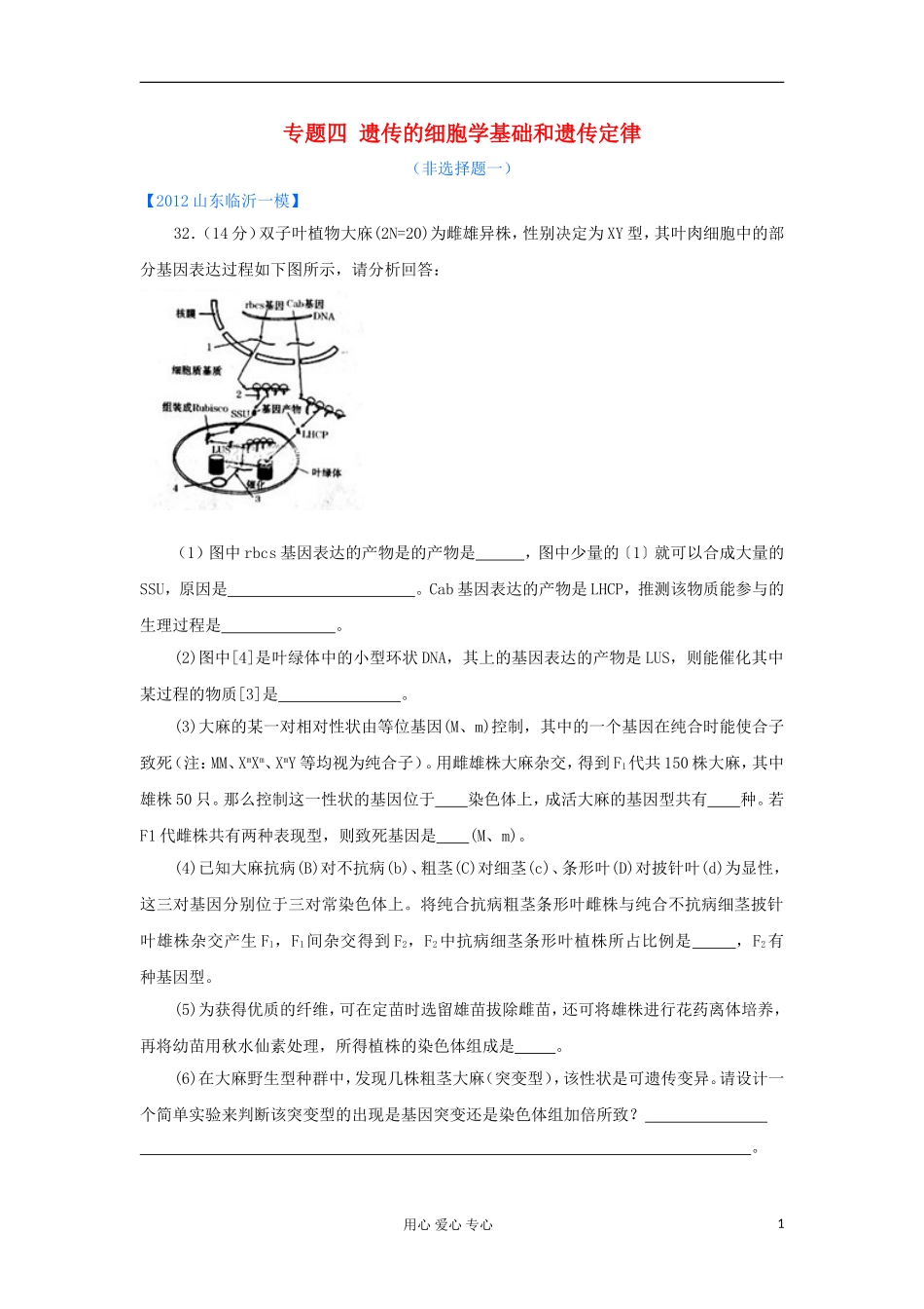 山东省2012年高考生物-各地市最新试题分类汇编11-遗传的细胞学基础和遗传定律(非选择题部分)_第1页