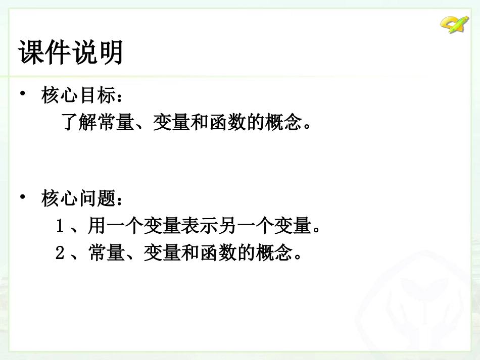 变量与函数（1）(第1课）_第2页