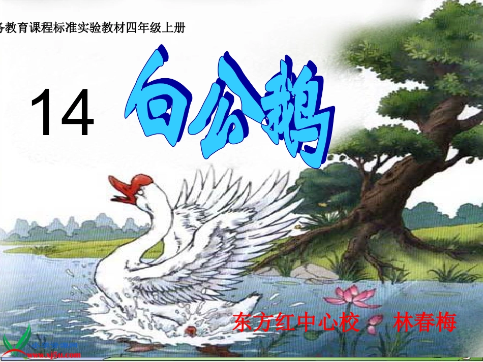 课白公鹅课件_第1页