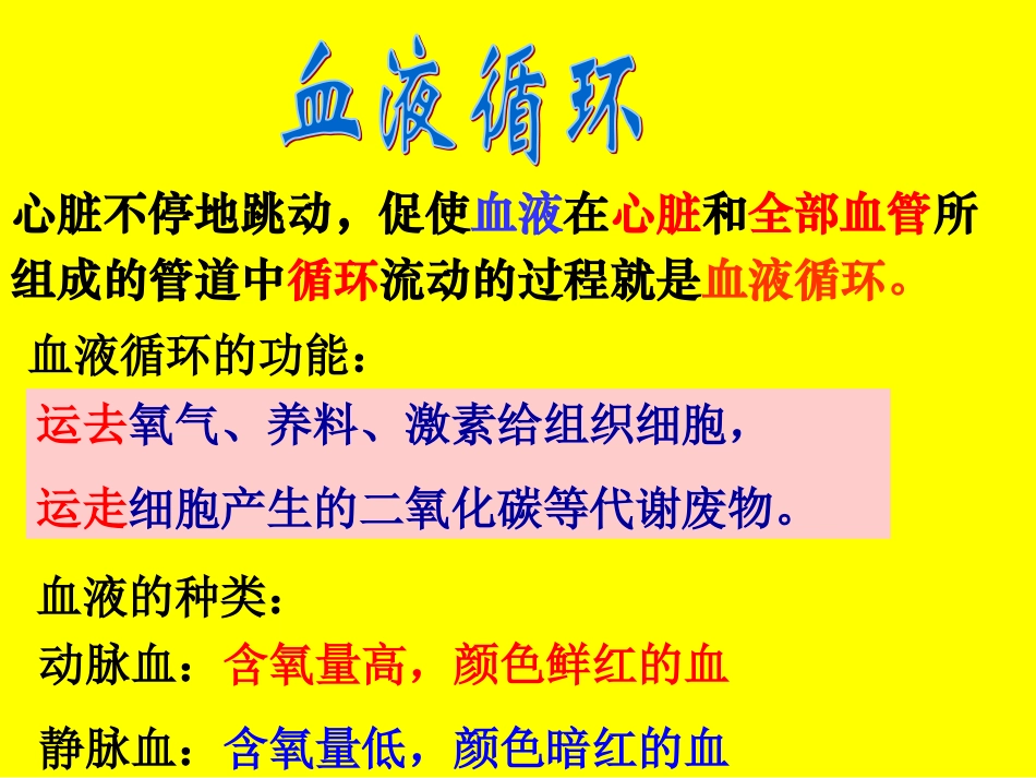 人体的血液循环（2）_第3页