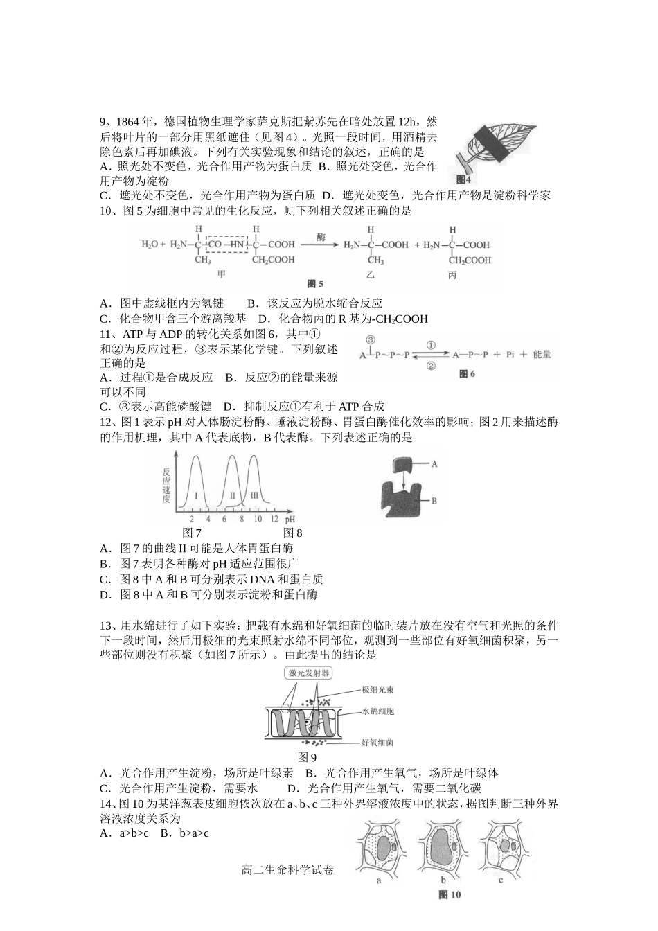 2012学年度第一学期期中试卷_第2页