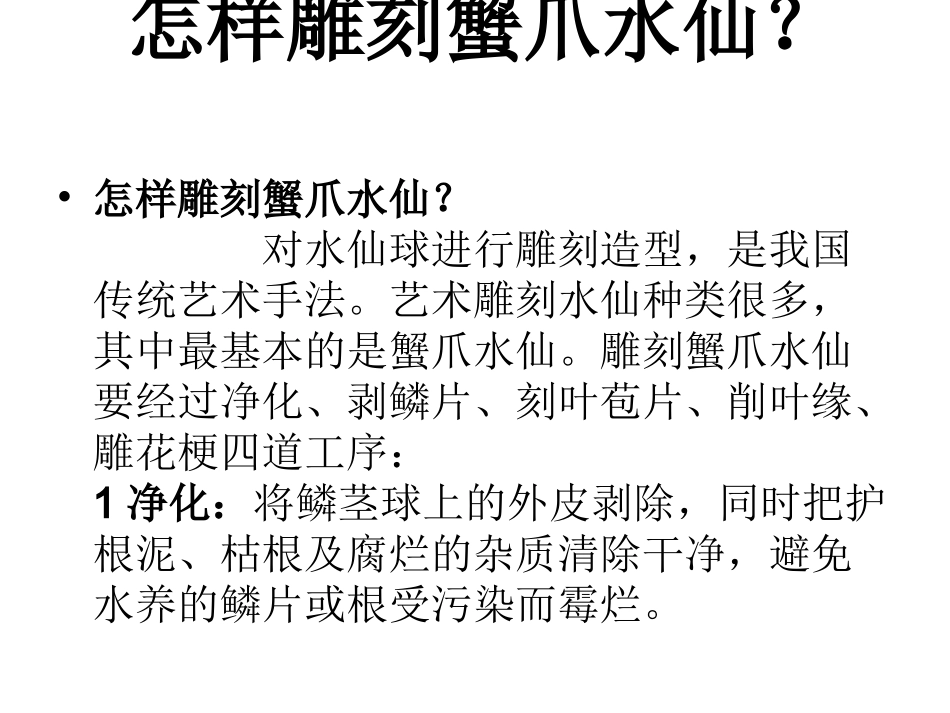水仙花艺术造型知识讲座sjm_第1页