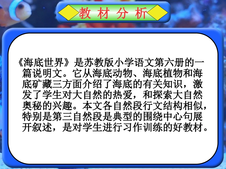 海底世界 (2)_第3页