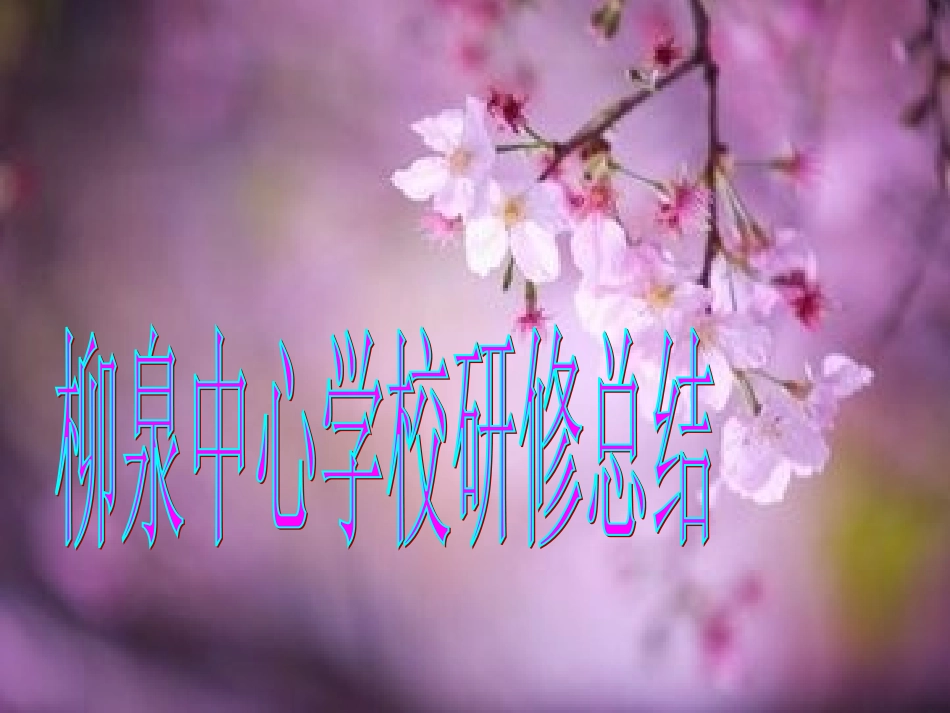 柳泉中心学校培训总结(1)_第1页