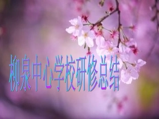 柳泉中心学校培训总结(1)