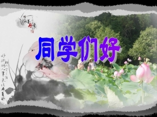 生命只有一次张