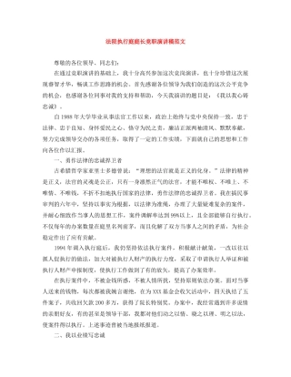 法院执行庭庭长竞职演讲稿范文 