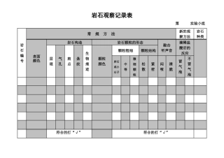 岩石观察记录表