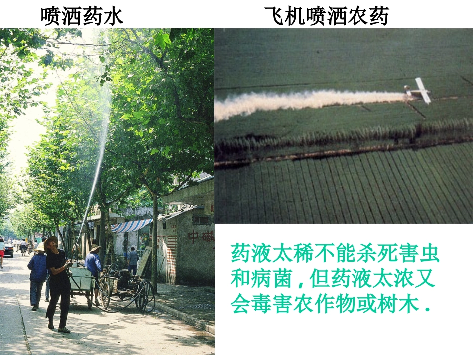 9.3溶质的质量分数_第2页