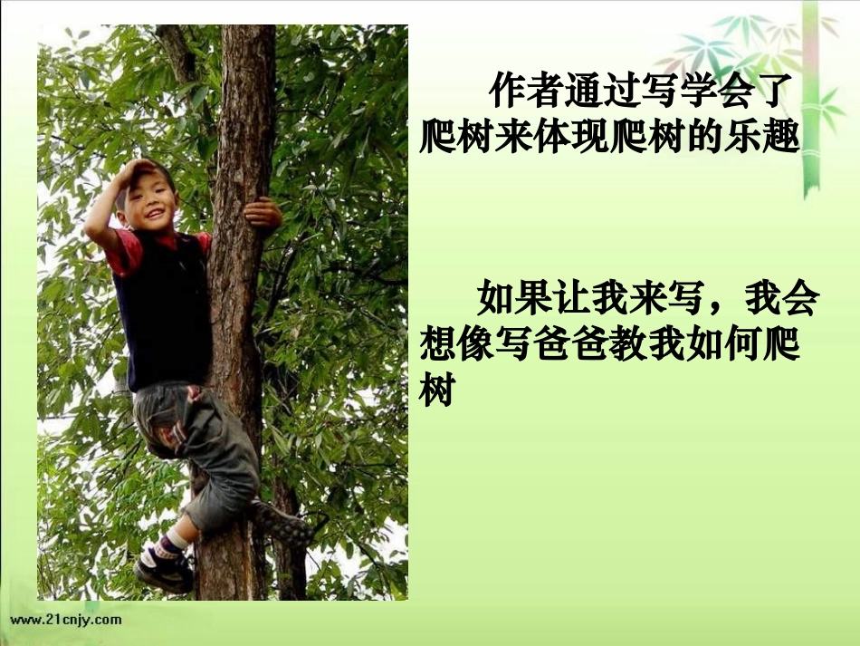 六语文下《爸爸带我去爬树》_第3页