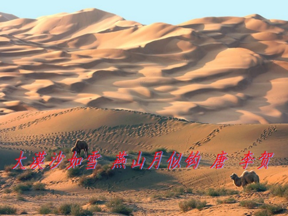 在沙漠的中心_第2页