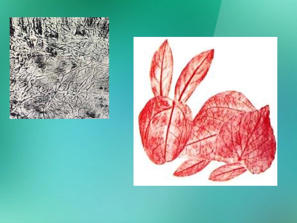 六年级美术上册-巧用肌理-1课件-湘美版_第2页