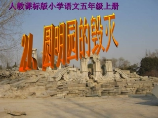 圆明园的毀灭课件