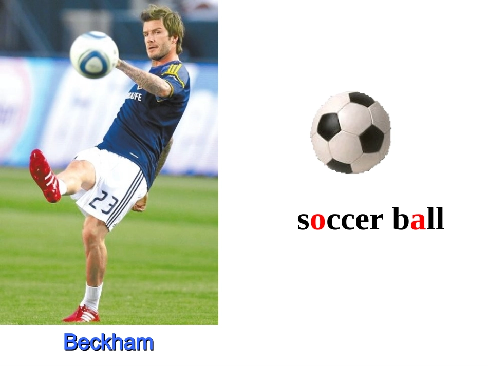 新目标英语七年级上册第五单元SectionA课件_第3页