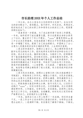 市长助理20XX年个人工作总结