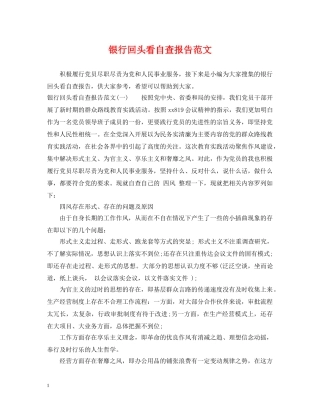 银行回头看自查报告范文 