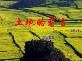 语文土地的誓言