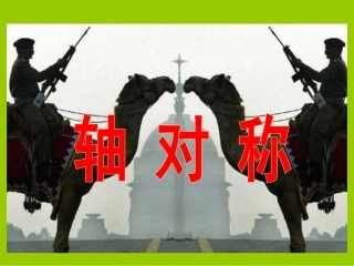 人教课标版《轴对称》(选)