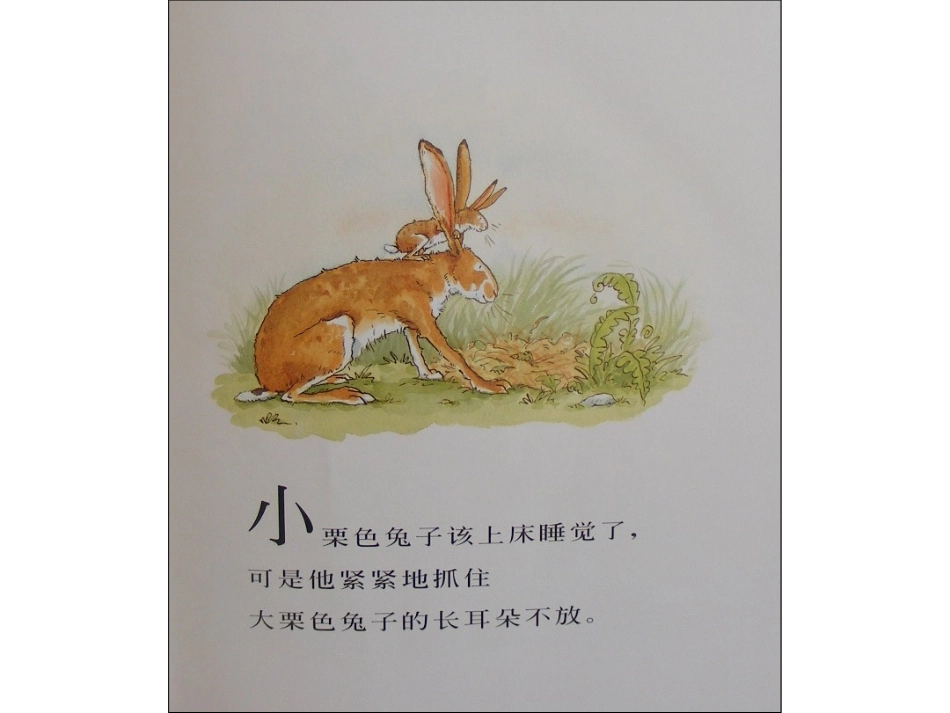 猜猜我有多爱你x_第3页