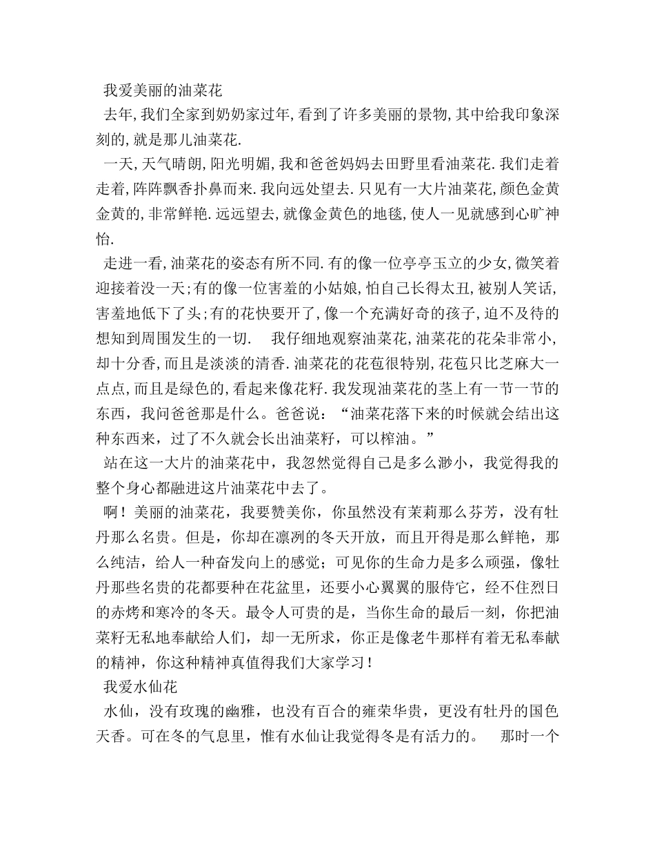 牡丹花的作文 _第3页