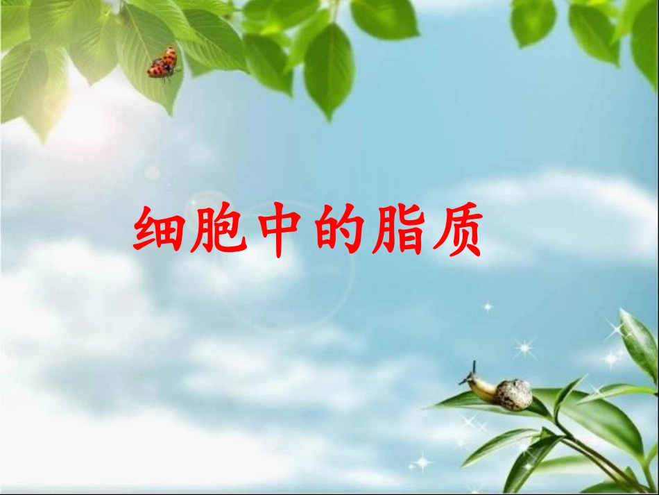 2013细胞中的糖类和脂质_第1页