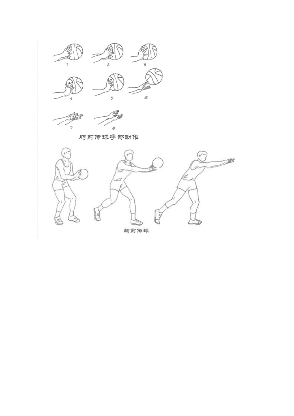 小篮球胸前传球动作要领_第3页