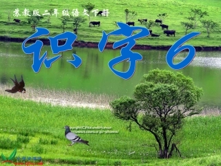 二年级语文下识字6课件