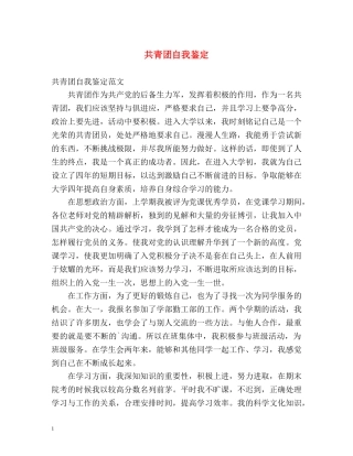 共青团自我鉴定 