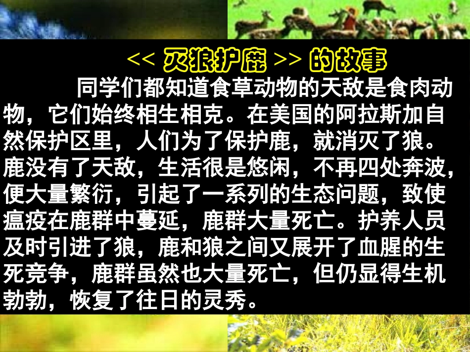 竞争？合作？_第3页