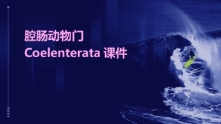 腔肠动物门Coelenterala腔肠动物是真正后生动物开课件