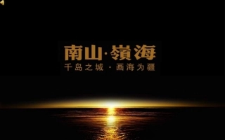 三皇广告2010年06月青岛南山·岭海二期推广方案