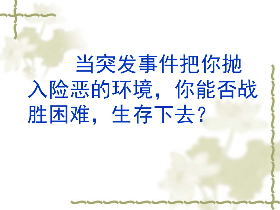鲁滨逊漂流记_第1页