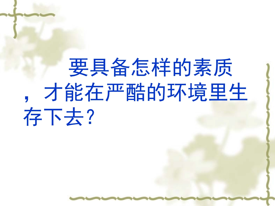 鲁滨逊漂流记_第2页