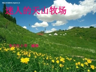 五年下《迷人的天山牧场》PPT