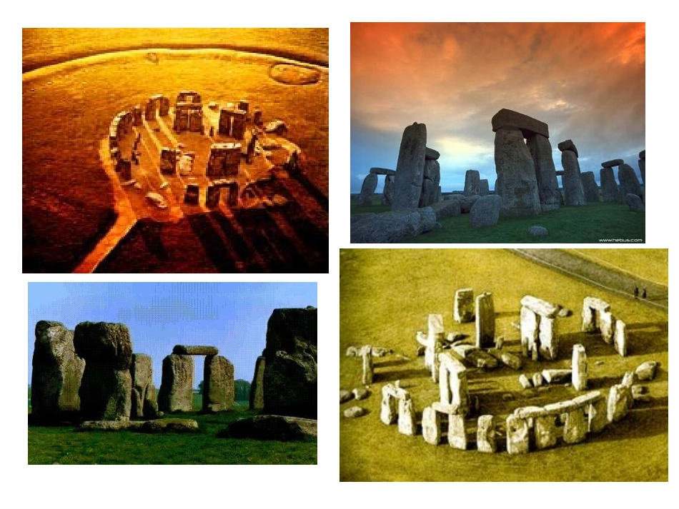 旅鼠之谜 (2)_第3页