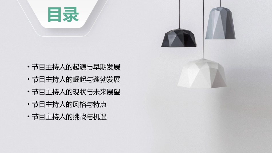 节目主持人的发展历程中国大陆课件_第2页