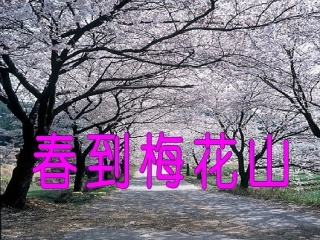 春到梅花山 (2)