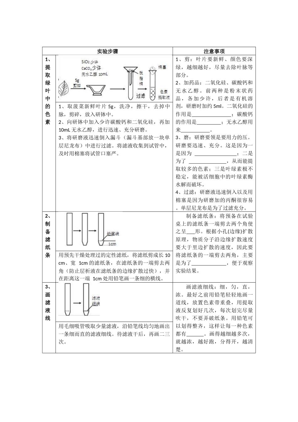色素提取学生实验报告_第2页