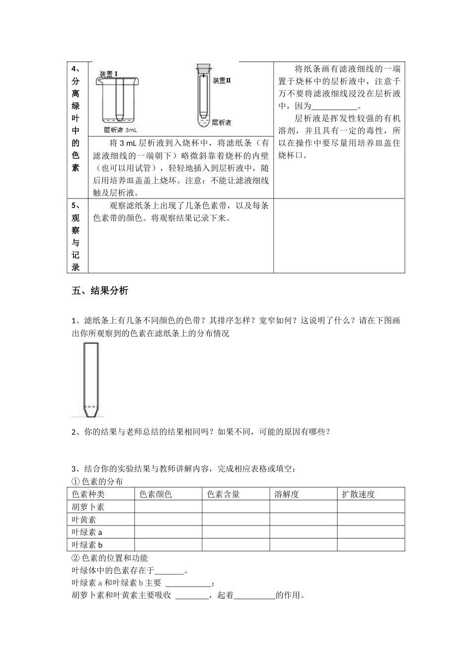 色素提取学生实验报告_第3页