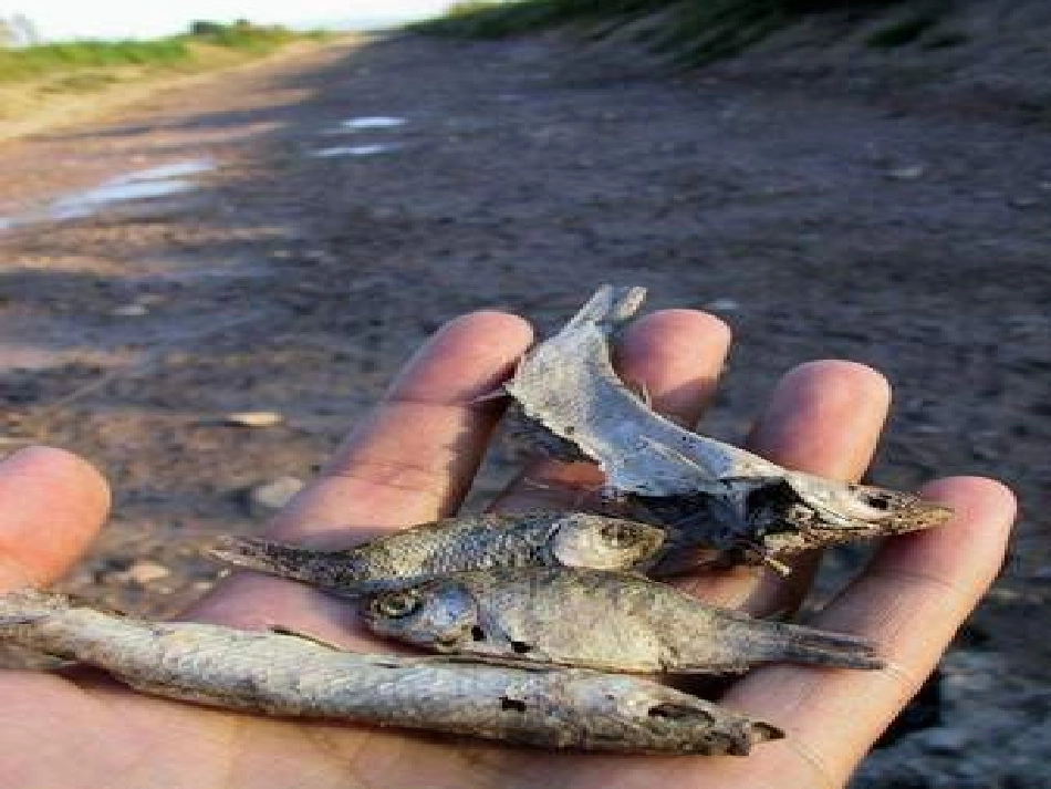 七颗钻石PPT_第2页