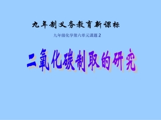 《二氧化碳制取的研究》[1]